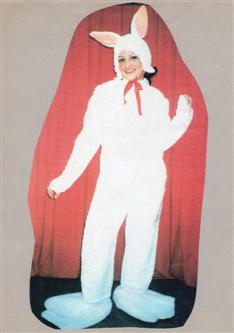 Disfraces Colombina - Disfraces Varios