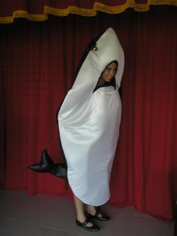Disfraces Colombina - Disfraces Varios